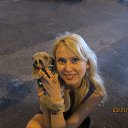 ������� �� ������� ����� ��� ������������