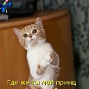 ���� ������ ��������, ������ - ��������� 9 ����� 2013 � ������ ���������