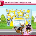  , , 21  -  29  2010   PetLove