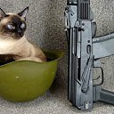 ���� �����, �����-���������, 26 ��� - ��������� 23 ������� 2012 � ������ ������ 2�