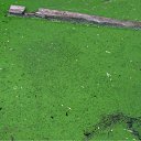 ���� ��������, ������, 72 ���� - ��������� 6 ������� 2011 � ������ ��������