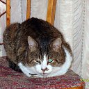 ���� ������, ������-��-����, 46 ��� - ��������� 2 ���� 2013