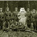 ���� ������, ������, 43 ���� - ��������� 13 ������� 2010 � ������ �������