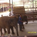 ���� ������� ������� � �����, �������, 54 ���� - ��������� 7 ������� 2011 � ������ ��������