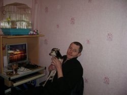 ������, �����������, 52 ����