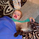 ���� Ferro, ��� - ��������� 1 ���� 2011 � ������ ������� ���