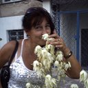 ���� �����, ������, 42 ���� - ��������� 30 ������ 2012 � ������ ���������