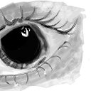 ���� ��������, �����-���������, 37 ��� - ��������� 9 ������� 2012 � ������ ���������