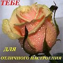 ���� ������, ����, 46 ��� - ��������� 8 �������� 2012 � ������ �������