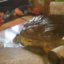    )))), , 47  -  3  2010   