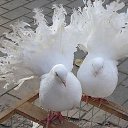 ���� Natalia, �������-��������� - ��������� 2 ������ 2012 � ������ �������