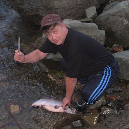 ����, �����������, 55 ���