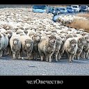 ���� ��������, �����, 61 ��� - ��������� 30 ������ 2012