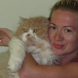 Фото Евгения, Москва, 48 лет Евгения, Москва, 48 лет