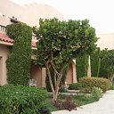 ���� �������, �����-���������, 54 ���� - ��������� 27 ����� 2010