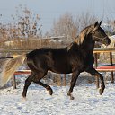 ���� �������, ������ - ��������� 3 ������ 2012 � ������ ���� ����������