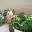 ��� ��������... �� ������� ���� �������� � ������ �����...�