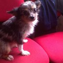 ���� ��������, ������, 63 ���� - ��������� 26 ������ 2012