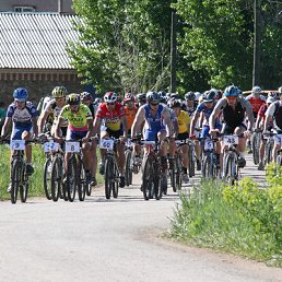 ���� ���������, ������� - ��������� 31 ���� 2013