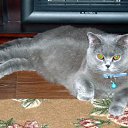 ���� Serega, ��������� - ��������� 25 ������� 2010 � ������ ������