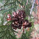 ���� ���������, ���������� - ��������� 23 ������� 2010 � ������ �������������Ż