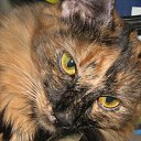 ���� ����, ��������, 50 ��� - ��������� 17 ������� 2009 � ������ ���, ��� � ���� �����...�