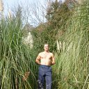 ���� �������, ������, 49 ��� - ��������� 9 ���� 2012 � ������ ���� ����������