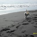 ���� ��������, �������, 66 ��� - ��������� 17 �������� 2011 � ������ �������