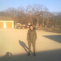 shamil, 41 ���, ���������