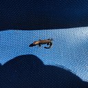 ���� �������, ���, 67 ��� - ��������� 31 ���� 2013 � ������ ������ �� ���� ��