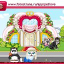  Nata, -, 48  -  29  2010   PetLove