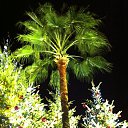 ���� �������, ������, 59 ��� - ��������� 3 ������ 2013 � ������ ���� ����������