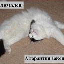 ���� ������, �������, 40 ��� - ��������� 13 ������� 2009 � ������ ����������� ��������, ������� ����������