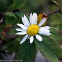 ���� ���������, ������, 71 ��� - ��������� 1 ������ 2012 � ������ ������������� ��� � �������.�