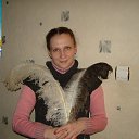 ���� �����, ������������ - ��������� 27 ������� 2013 � ������ ���� ����������