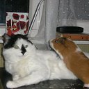 ���� �������, ������, 50 ��� - ��������� 11 ������ 2011