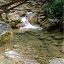 ���� ���������, �������������, 37 ��� - ��������� 17 �������� 2011 � ������ ���� ����������