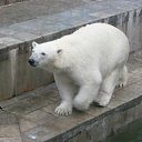 ���� ������� �����, ����������� - ��������� 29 ���� 2011 � ������ �������