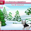 ���� ������, ���������, 31 ��� - ��������� 27 ����� 2011 � ������ �PetLove�