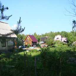 ���� �����, ���������, 47 ��� - ��������� 16 ������� 2012