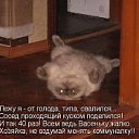 ���� ����, ����, 25 ��� - ��������� 26 ������� 2011 � ������ �Avataria�