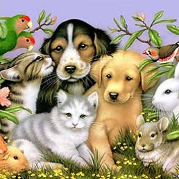 ���� Dryny, �����-���������, 80 ��� - ��������� 23 ���� 2012