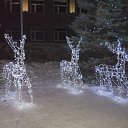 ���� ���������, ���������, 78 ��� - ��������� 13 ������� 2012