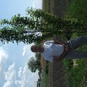 ���� ����, ��������, 48 ��� - ��������� 8 ���� 2012 � ������ ���� ����������