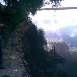 Aleks, ���������, 56 ���