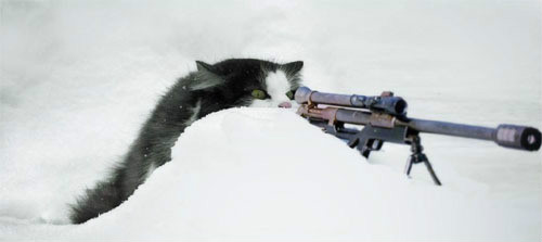 ���� ������, ����, 60 ��� - ��������� 10 ������ 2012