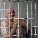 ���� ������, ����, 51 ��� - ��������� 3 ������ 2013 � ������ ���� ����������