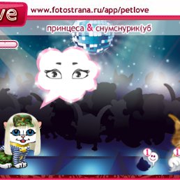 ���� �������, ������, 35 ��� - ��������� 19 ������� 2010