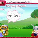 ���� Melena, �����, 39 ��� - ��������� 10 ������ 2010 � ������ �PetLove�
