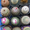 ���� ������, ������, 69 ��� - ��������� 5 ������ 2013 � ������ ���� ��������� ����������